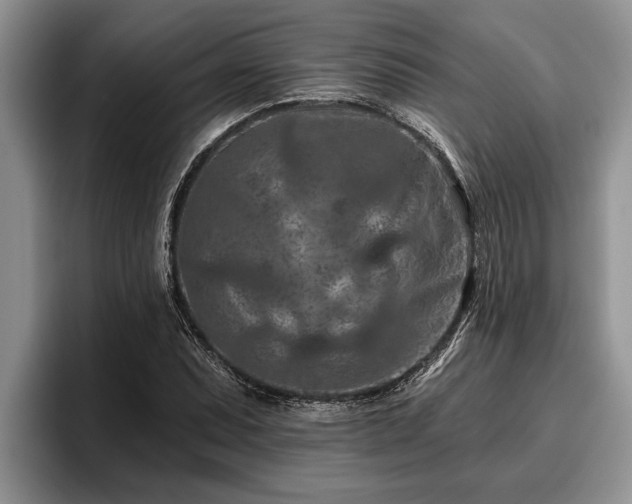 X0000095881071200801181201