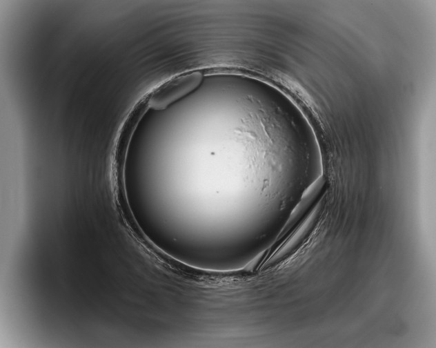 X0000095881072200801181201