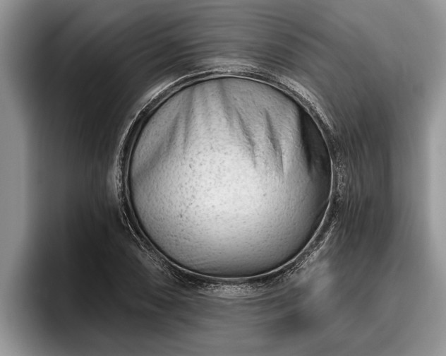 X0000095881074200801181200