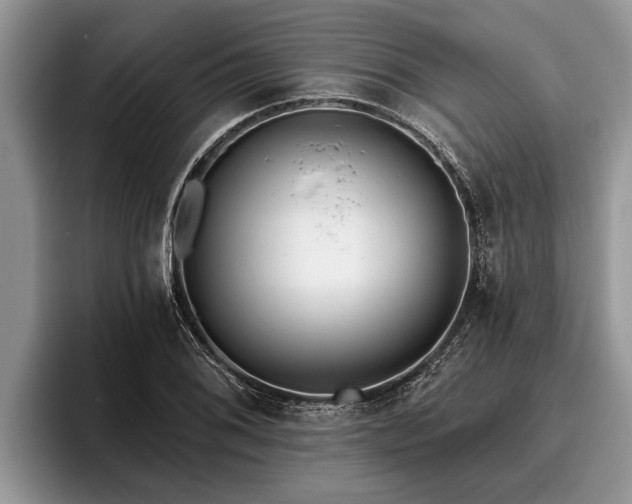 X0000095881076200801181200
