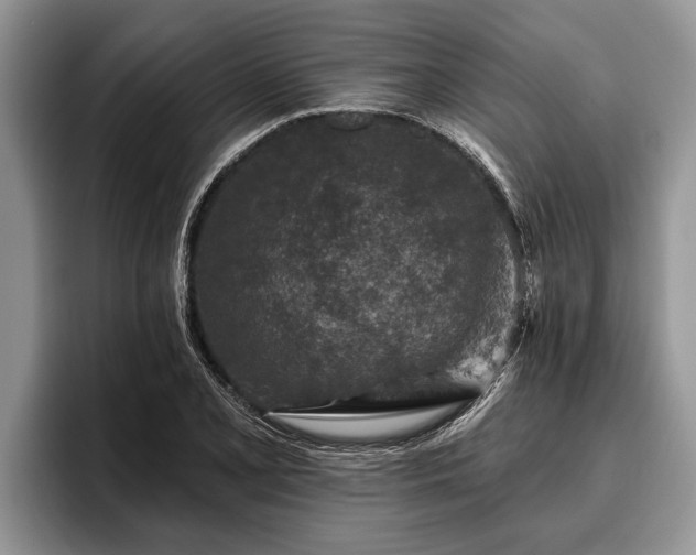 X0000095881077200801181200