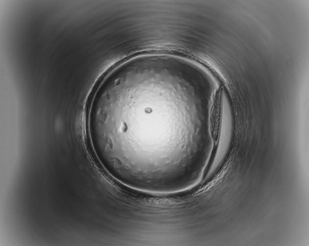 X0000095881079200801181200