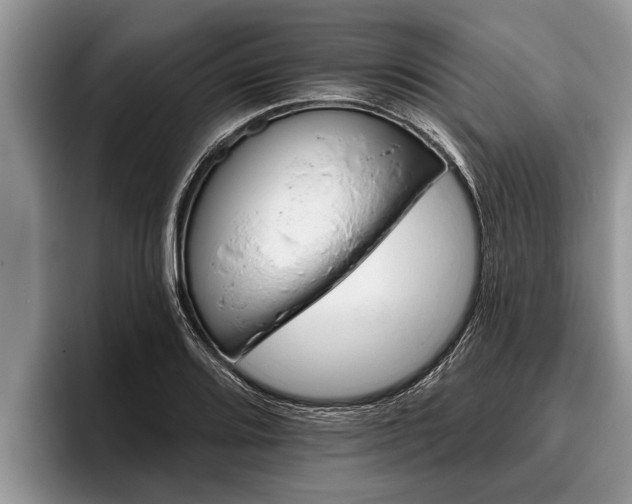 X0000095881080200801181200