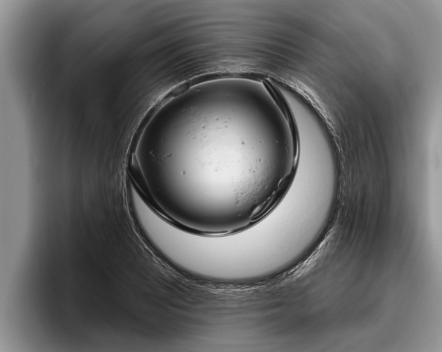 X0000095881081200801181200