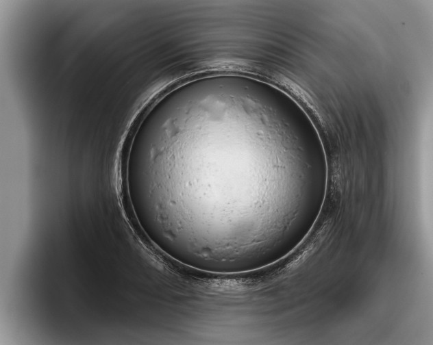 X0000095881082200801181200