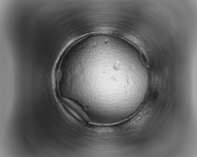X0000095881083200801181200