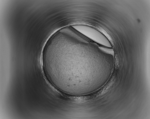 X0000095881084200801181200