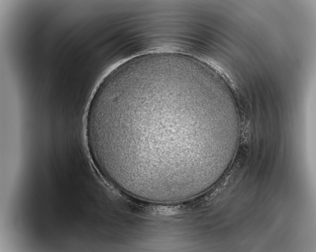 X0000095881086200801181200