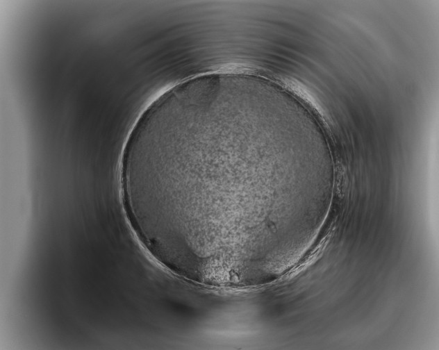 X0000095881087200801181200
