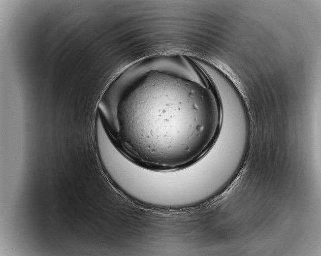 X0000095881089200801181200