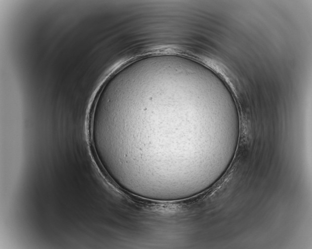 X0000095881090200801181200
