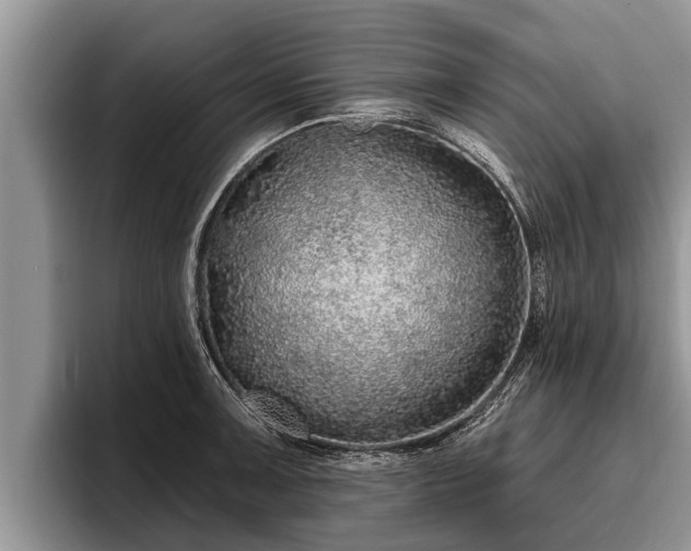 X0000095881091200801181200