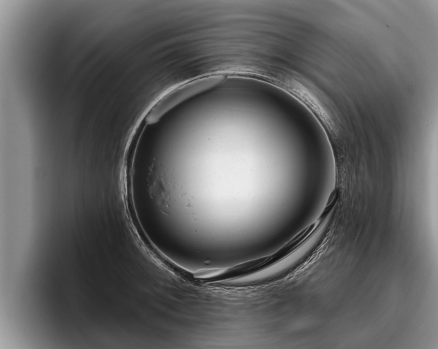 X0000095881092200801181200