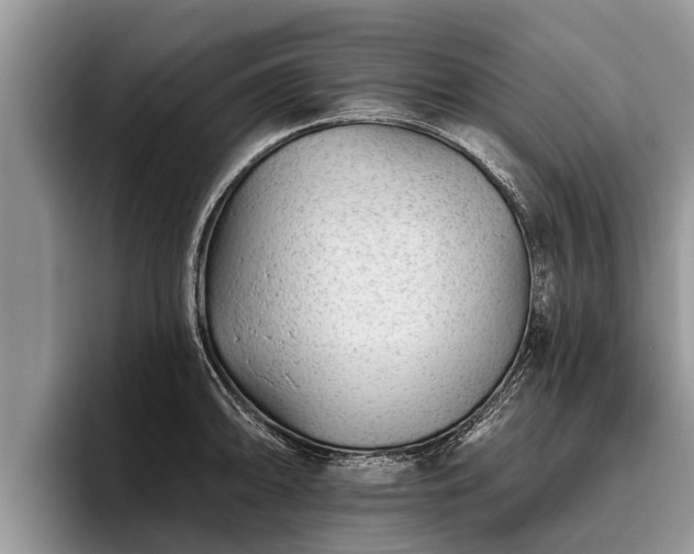 X0000095881094200801181200