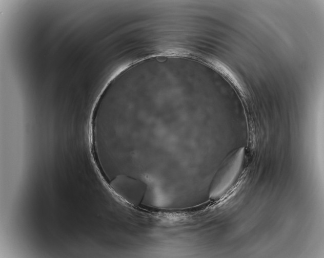 X0000095881095200801181200