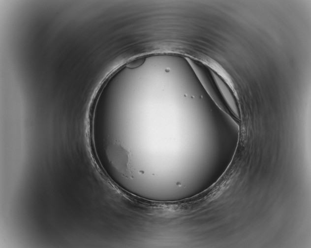 X0000095881096200801181200