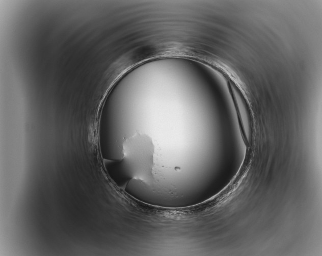 X0000095881097200801181200