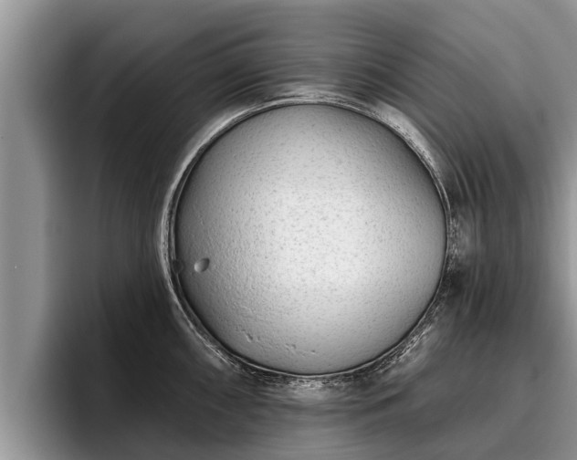 X0000095881098200801181200