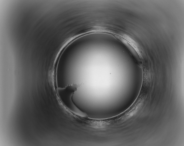 X0000095881100200801181200