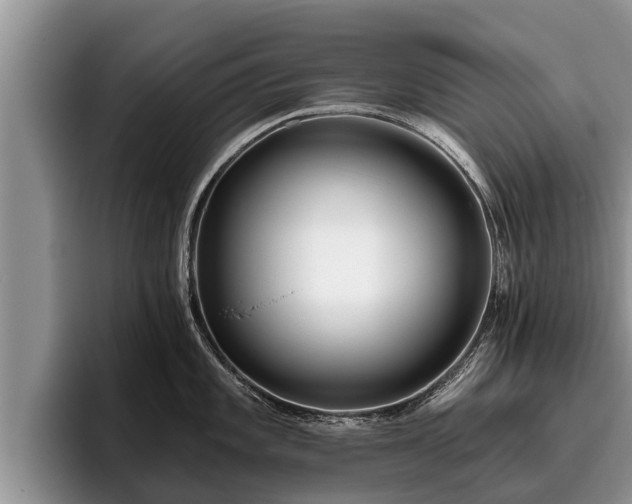 X0000095881101200801181200