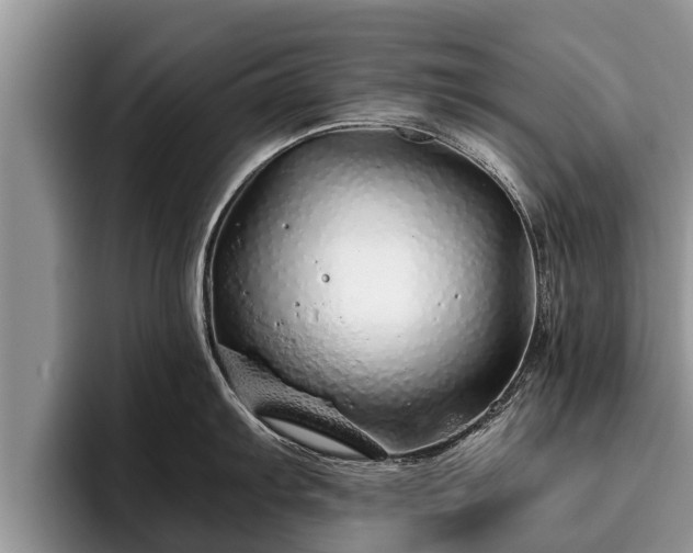 X0000095881103200801181200