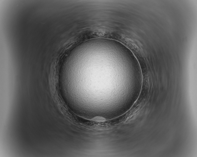 X0000095881105200801181159
