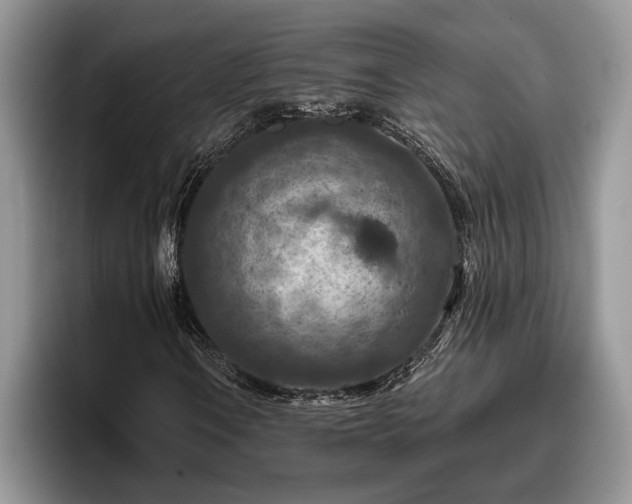 X0000095881106200801181159