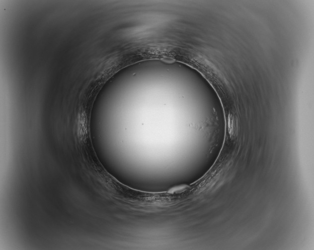 X0000095881107200801181200