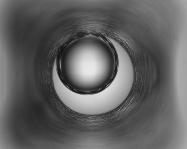 X0000095881108200801181200