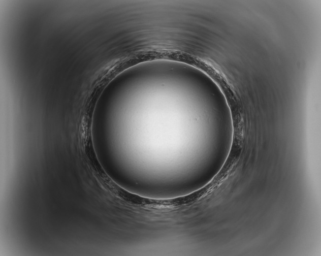 X0000095881110200801181200