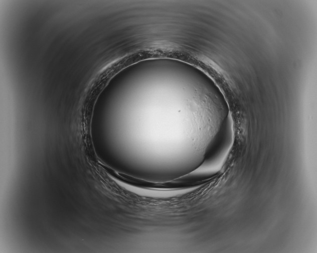 X0000095881112200801181200
