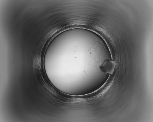 X0000095881113200801181200