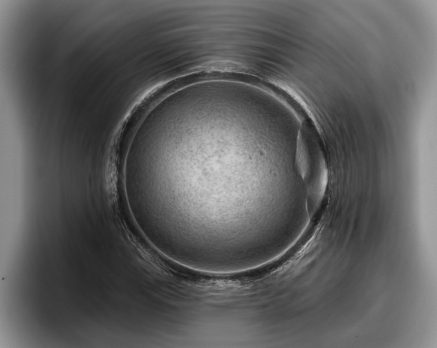 X0000095881115200801181200