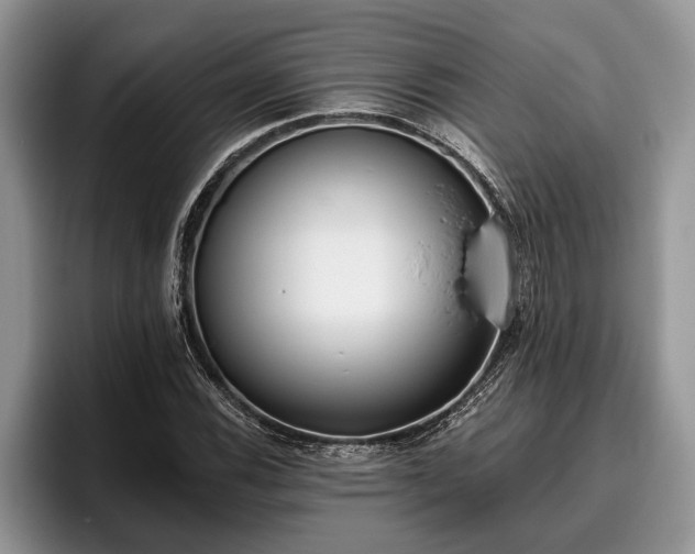 X0000095881116200801181200