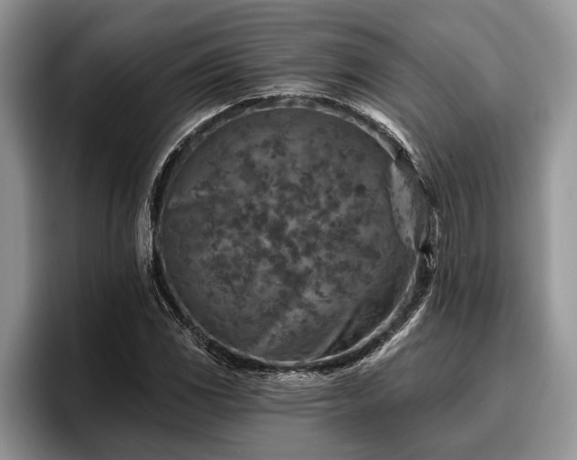 X0000095881117200801181200