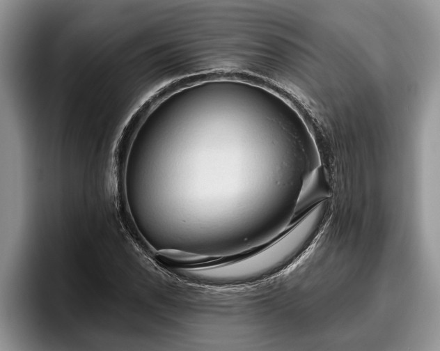 X0000095881118200801181200