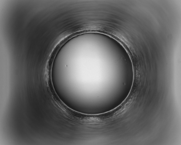 X0000095881119200801181200