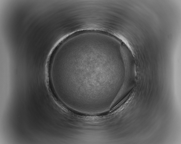 X0000095881120200801181200