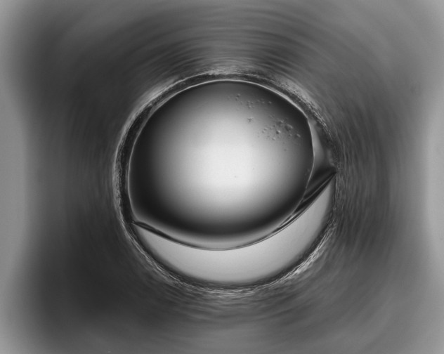 X0000095881122200801181200
