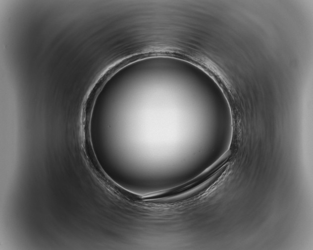 X0000095881124200801181200