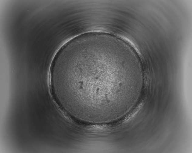 X0000095881125200801181200