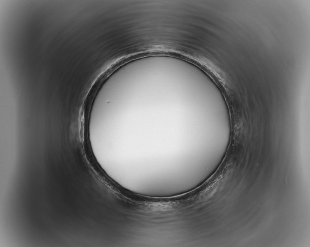 X0000095881126200801181200