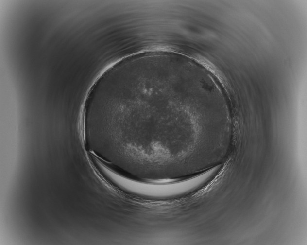 X0000095881127200801181200