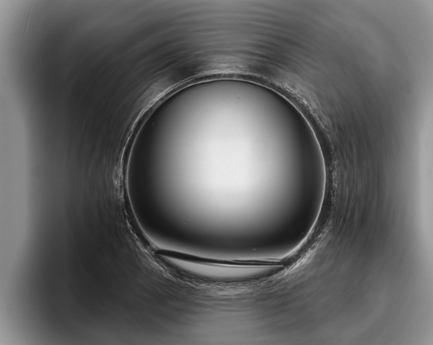 X0000095881129200801181200