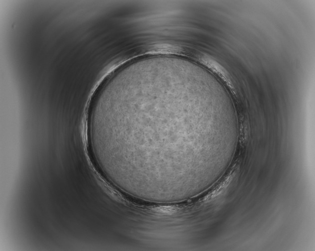 X0000095881130200801181200