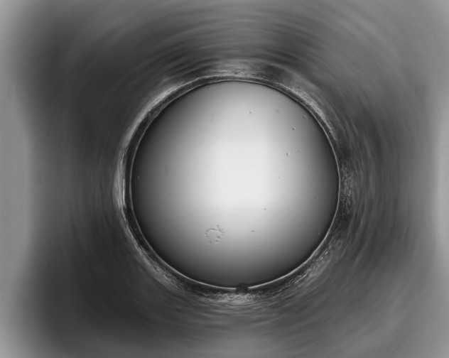 X0000095881131200801181200