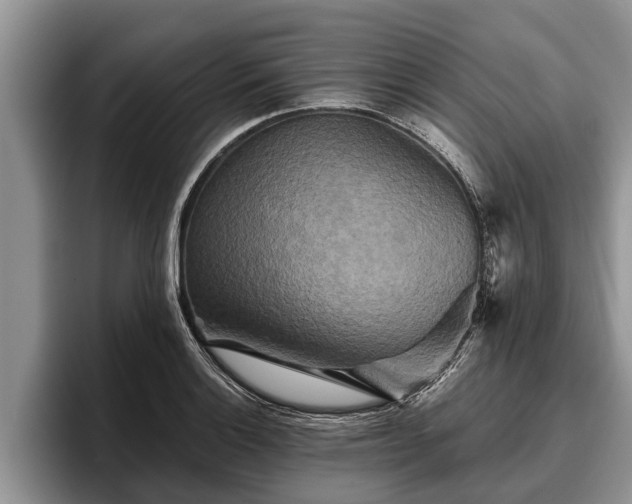X0000095881132200801181200