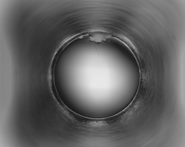 X0000095881133200801181200