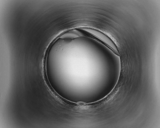 X0000095881134200801181200