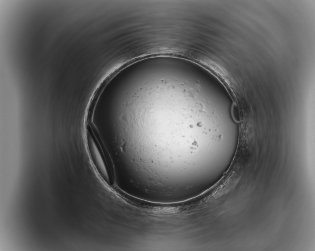 X0000095881135200801181200